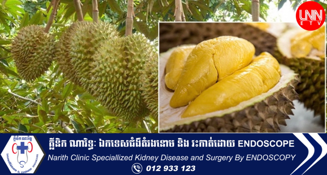 កសិករដាំទុរេនសប្បាយចិត្ត ត្បិតឆ្នាំនេះអាចលក់បានក្នុងតម្លៃថ្លៃជាងឆ្នាំមុន