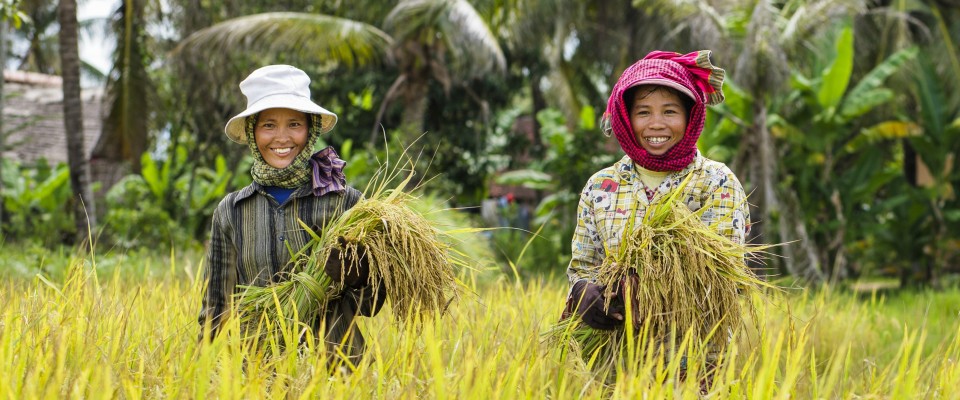 ADB ផ្ដល់កម្ចី ៧០លានដុល្លារ ដល់កម្ពុជា ដើម្បីពង្រឹងខ្សែសង្វាក់តម្លៃ ផលិតផលកសិកម្ម និងសុវត្ថិភាពចំណីអាហារ