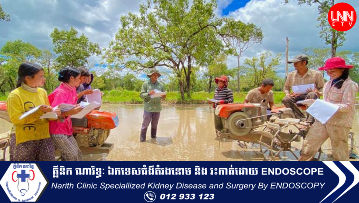 ទិន្នផល​ស្រូវ​ត្រយង​បានកើន​ឡើង ៥៨ ភាគរយ ​នៅពេល​អនុវត្ត​បច្ចេកទេស​ជីកំប៉ុស ដំណាំ​គម្រប​ដី និង​បច្ចេកទេស​បំបែក​ដី