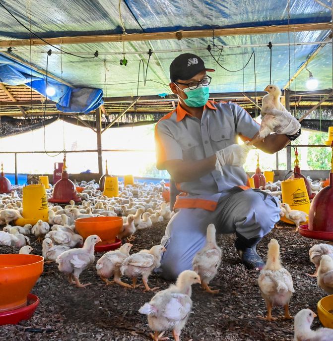 ប្រទេស​ចិន​រាយការណ៍​ពី​ការ​ស្លាប់​មនុស្ស​លើក​ដំបូង​ដោយសារ​ជំងឺ​ផ្តាសាយ​បក្សី H3N8