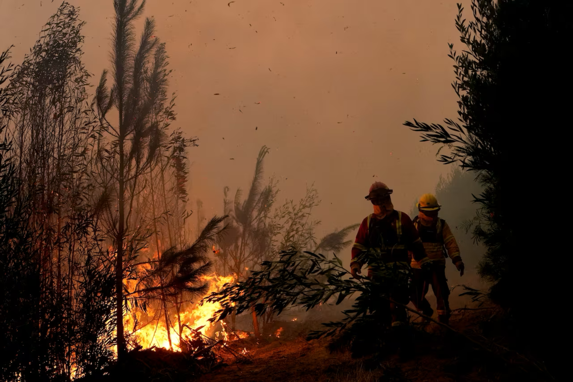 chile-wildfires