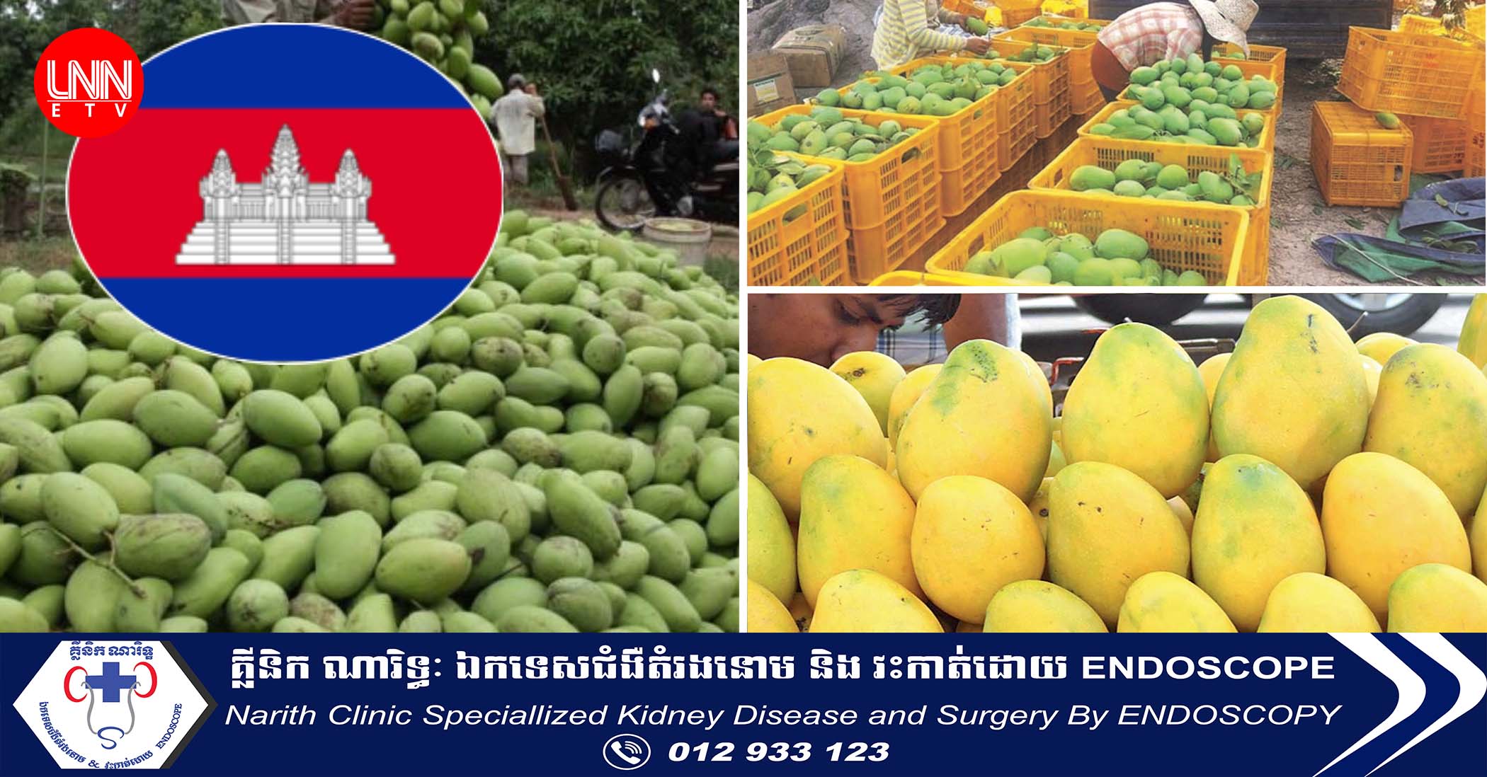 ផ្លែស្វាយ​ស្រស់​កម្ពុជា​នាំចេញ​បាន​ ​៨​៨​,​៥​០​៩​ ​តោន​ក្នុងរយៈពេល​៥​ខែ​ឆ្នាំនេះ