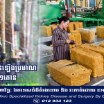 តម្លៃជ័រកៅស៊ូកើនឡើងប្រមាណ៣០០ដុល្លារក្នុង១តោន ខណៈទិន្នផលកៅស៊ូ៣០% ត្រូវបានបញ្ជាទិញដោយរោងចក្រផលិតសំបកកង់រថយន្តក្នុងស្រុក