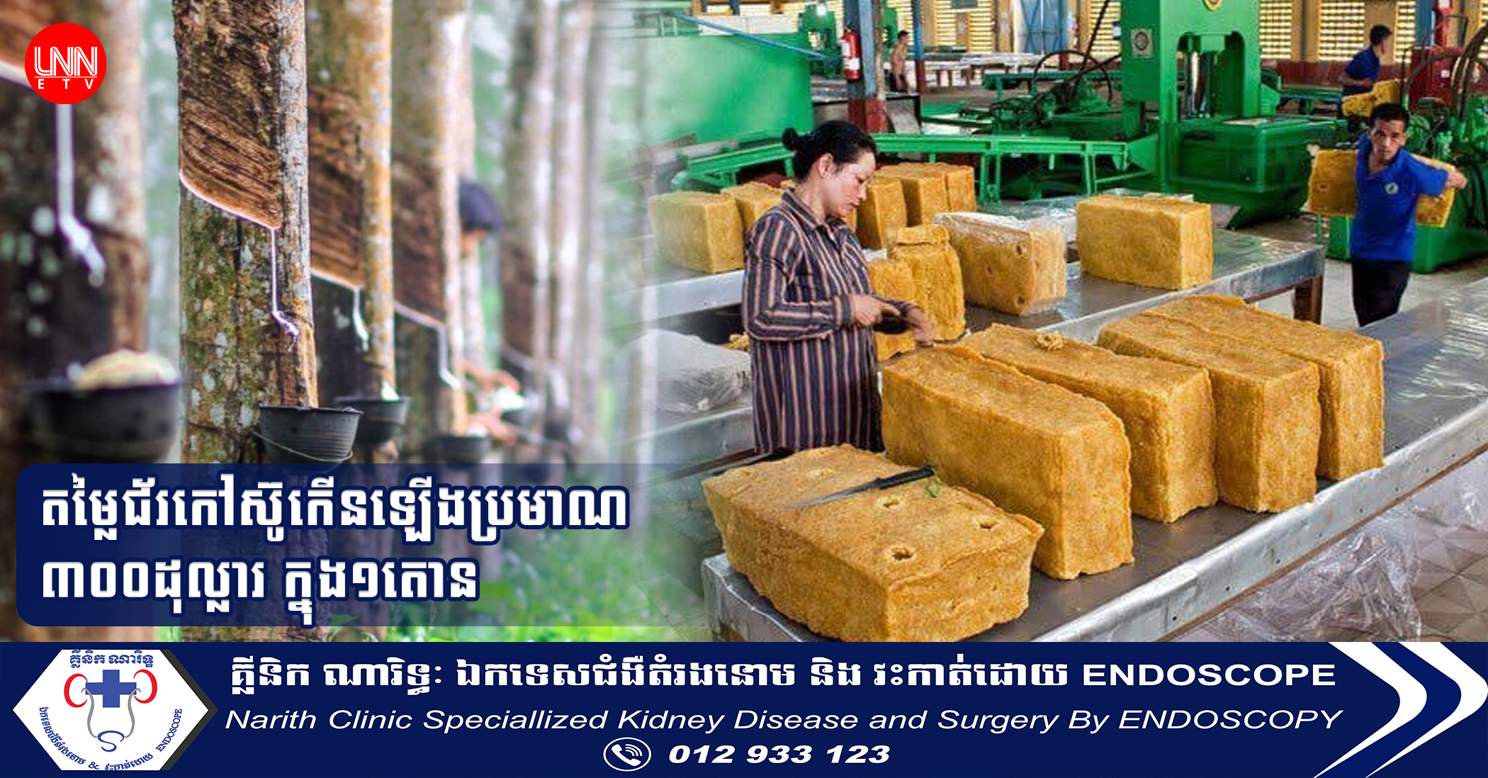 តម្លៃជ័រកៅស៊ូកើនឡើងប្រមាណ៣០០ដុល្លារក្នុង១តោន ខណៈទិន្នផលកៅស៊ូ៣០% ត្រូវបានបញ្ជាទិញដោយរោងចក្រផលិតសំបកកង់រថយន្តក្នុងស្រុក