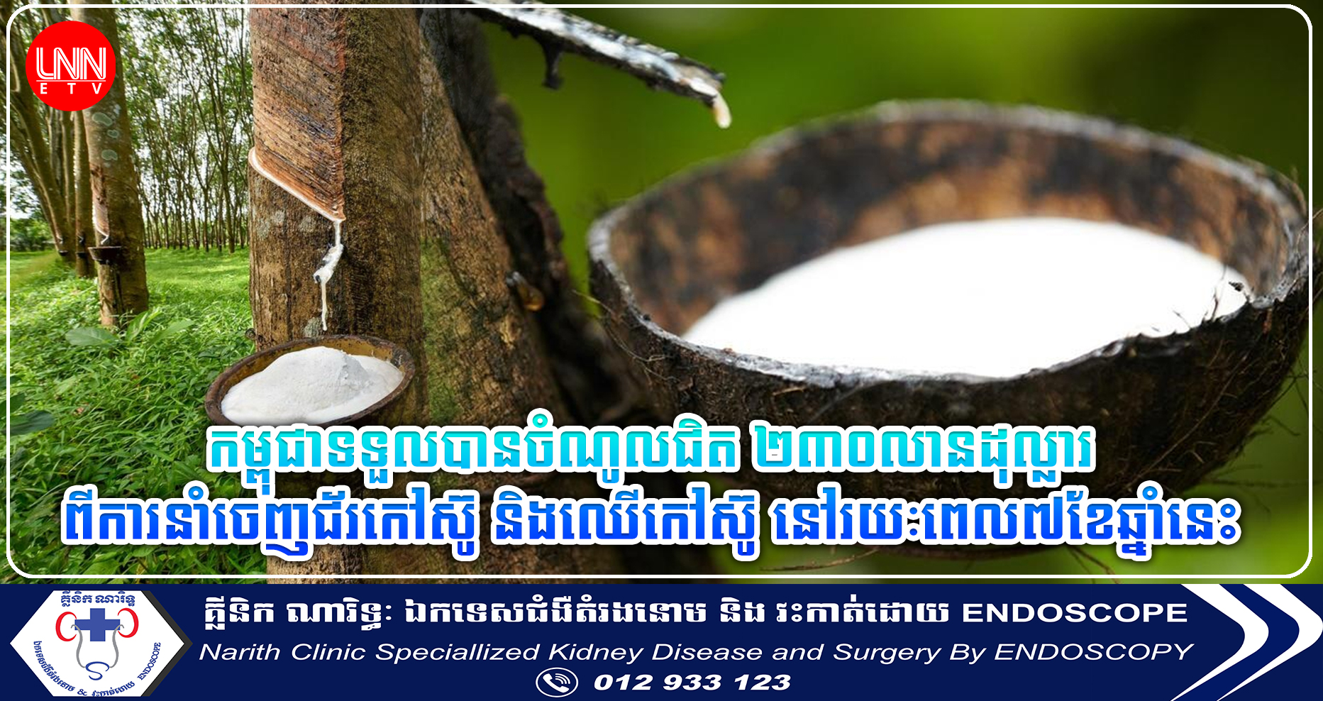 កម្ពុជាទទួលបានចំណូលជិត ២៣០លានដុល្លារ ពីការនាំចេញជ័រកៅស៊ូ និងឈើកៅស៊ូ នៅរយៈពេល៧ខែឆ្នាំនេះ