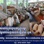 តើតម្រូវការប្រើប្រាស់សាច់ក្នុងរដូវបុណ្យភ្ជុំបិណ្ឌ អាចជួយជំរុញឱ្យតម្លៃសាច់សត្វរស់ហក់ឡើងដែរ ឬទេ?