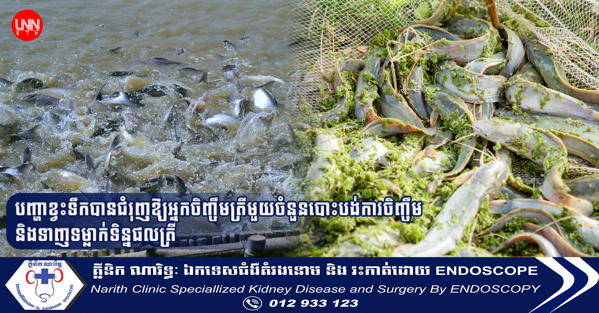 បញ្ហាខ្វះទឹកបានជំរុញឱ្យអ្នកចិញ្ចឹមត្រីមួយចំនួនបោះបង់ការចិញ្ចឹម និងទាញទម្លាក់ទិន្នផលត្រី