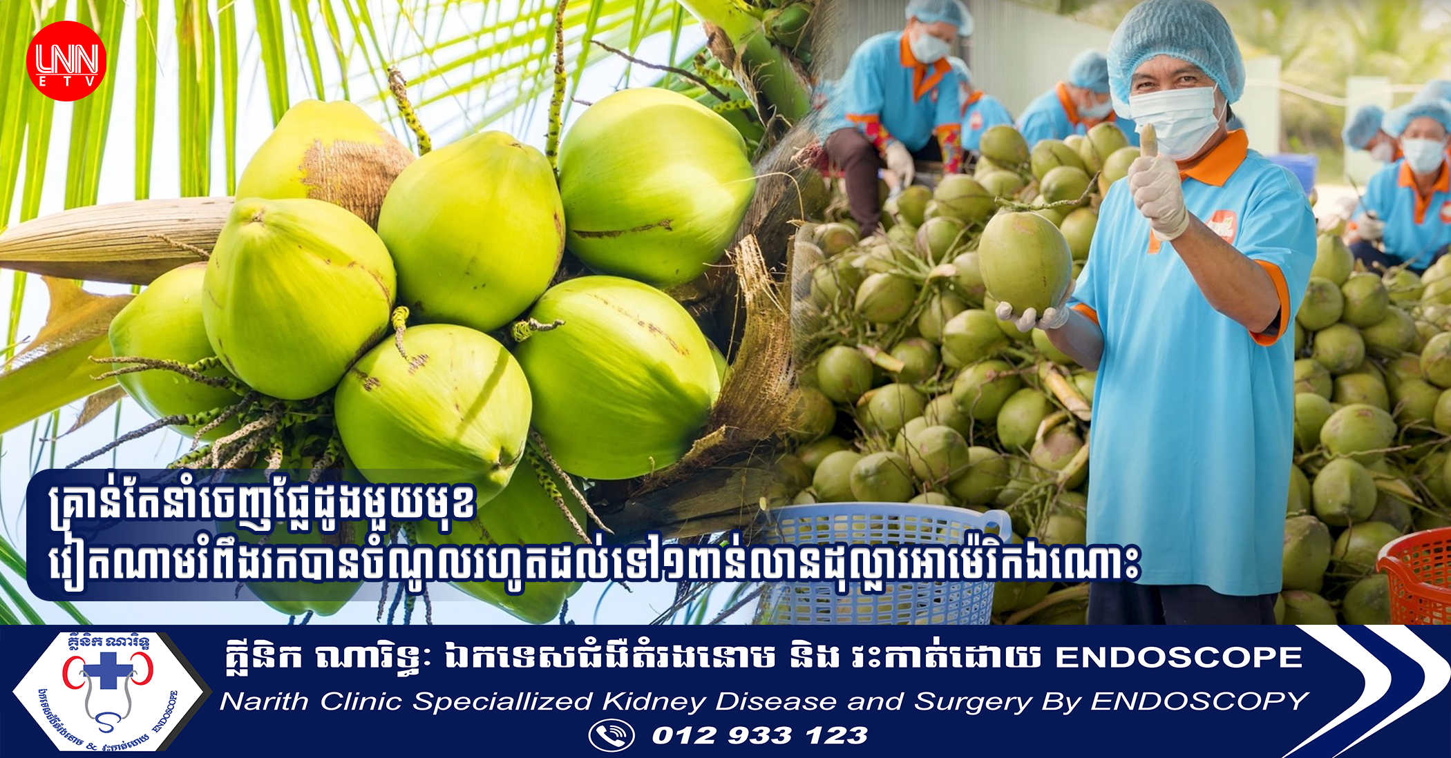 គ្រាន់តែនាំចេញផ្លែដូងមួយមុខ វៀតណាមរំពឹងរកបានចំណូលរហូតដល់ទៅ១ពាន់លានដុល្លារអាម៉េរិកឯណោះ